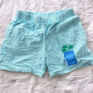 Little English boys seersucker shorts in size 5